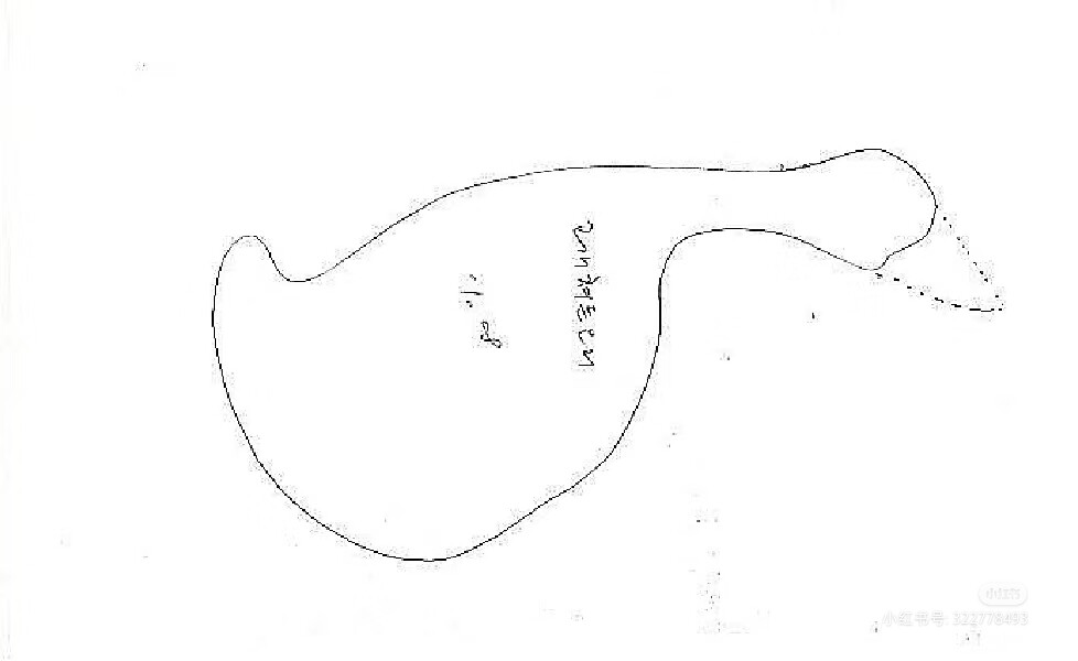 鹅（缺肚皮）