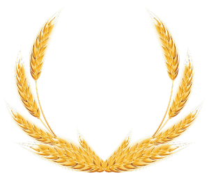 框