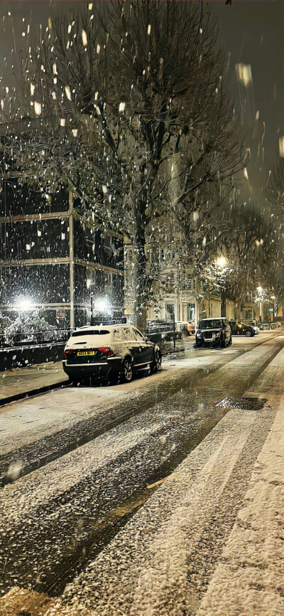 雪景壁纸❄