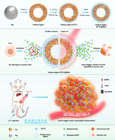 
科研作图杂志封面论文配图sci医学插画设计三维动画教程
sci论文配图学术期刊封面设计科研绘图医学插画教程
医学插画论文配图杂志sci封面设计科研绘图教程三维动画
医学动画论文配图杂志sci封面设计科研绘图教程…