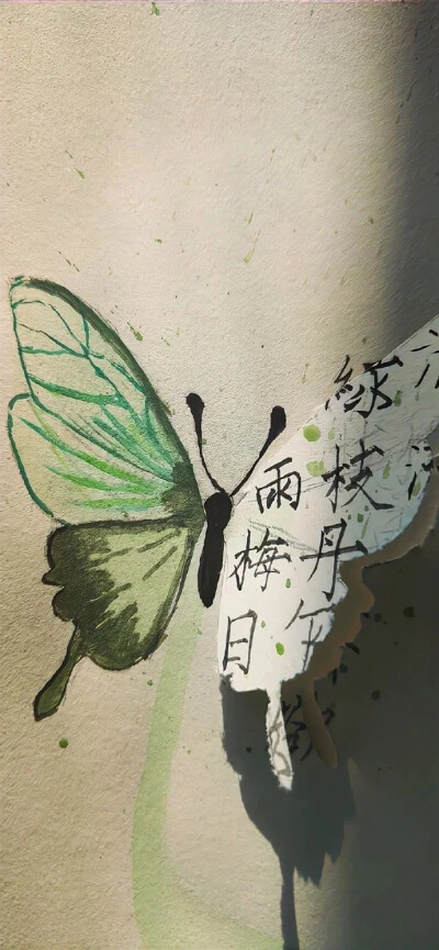 壁纸壁纸