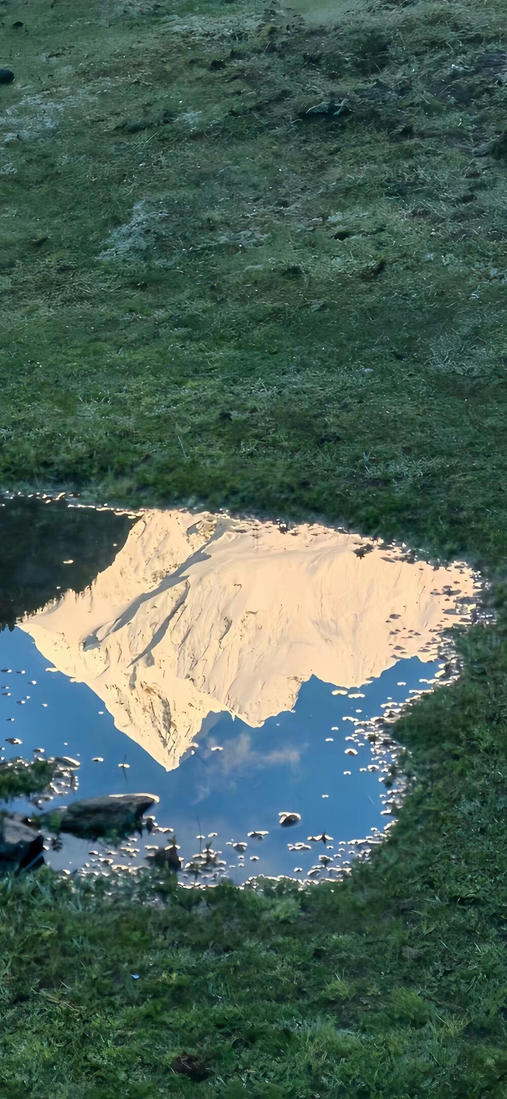 绿色系手机壁纸.