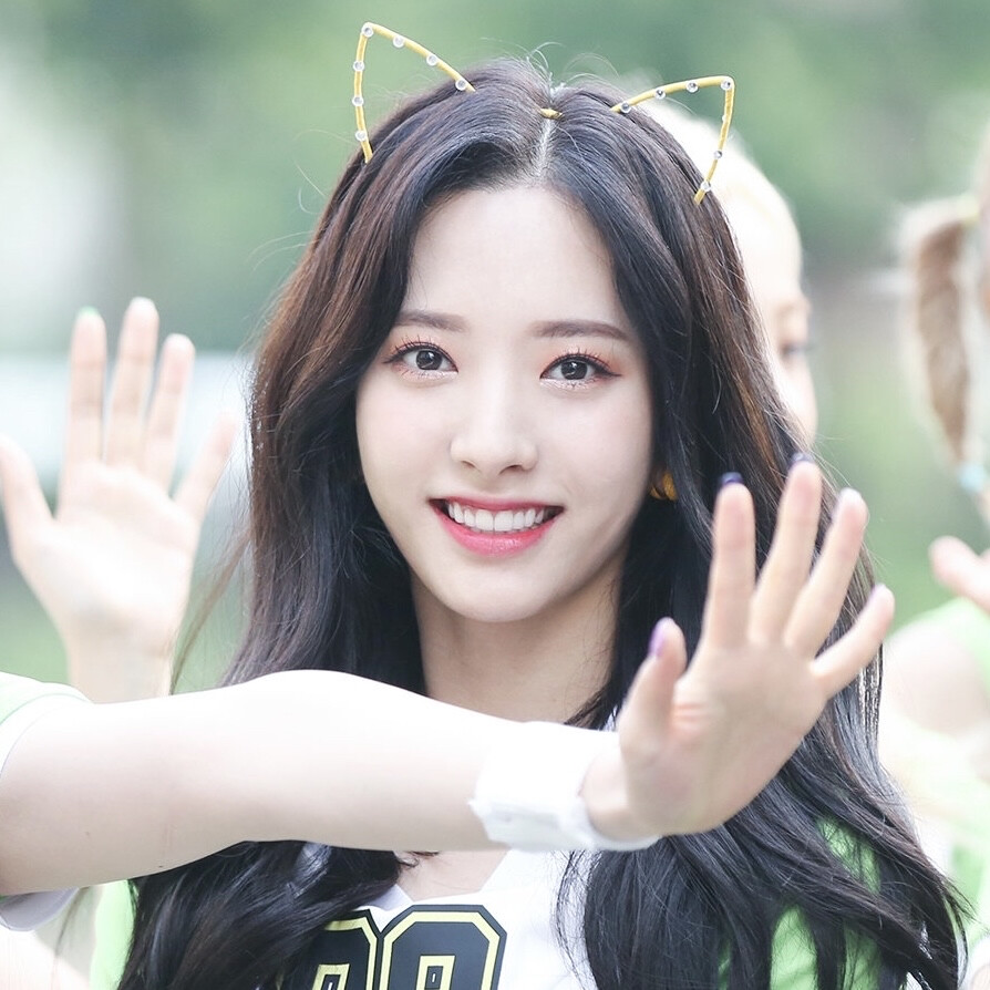 SD_BONA