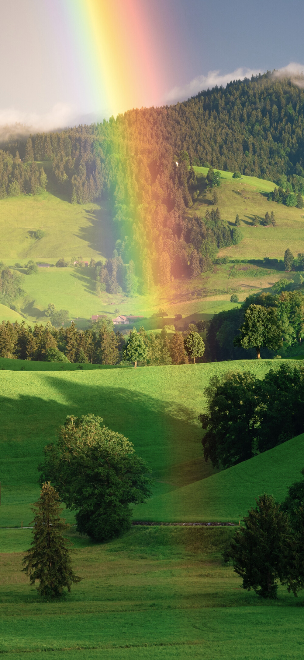 绿色系手机壁纸.