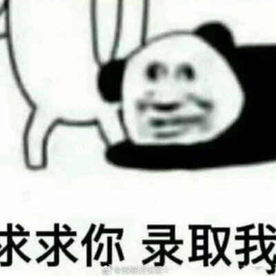 哈哈哈
