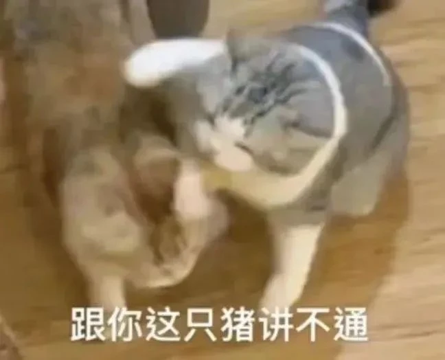 猛男限定