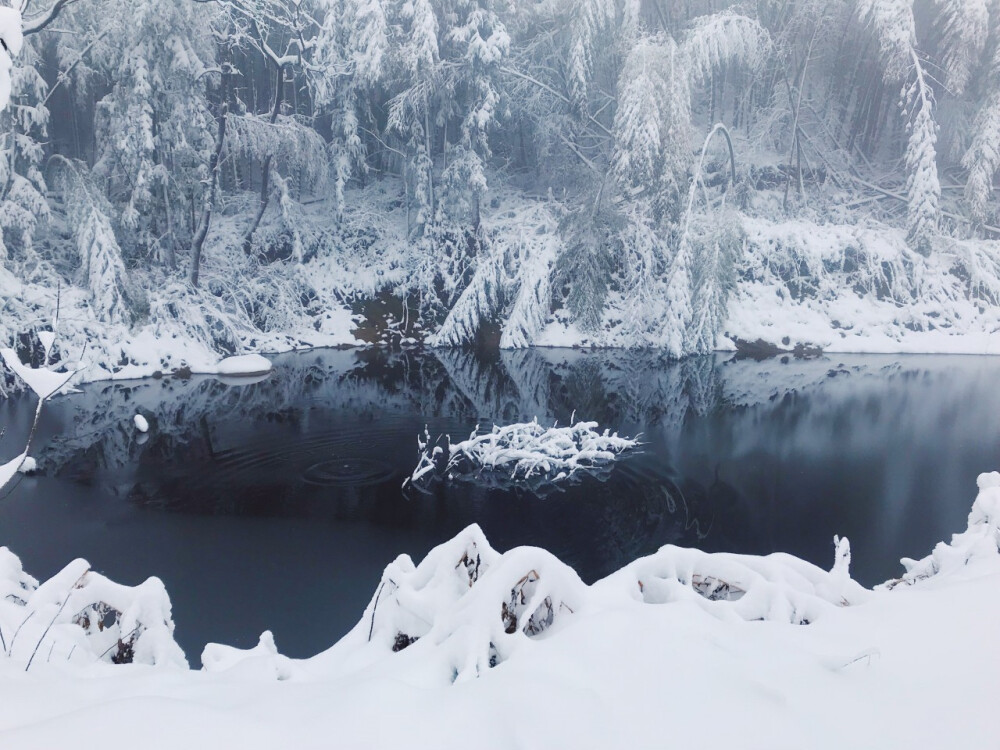 雪景