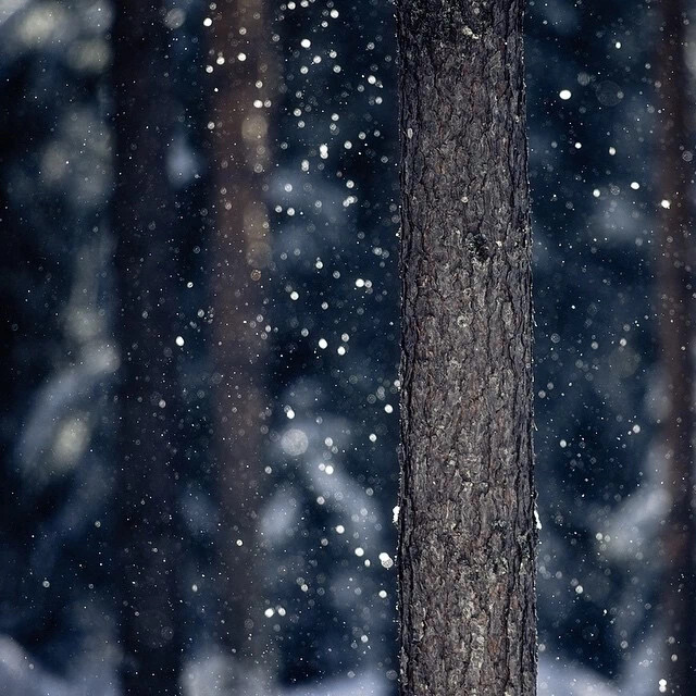 雪景