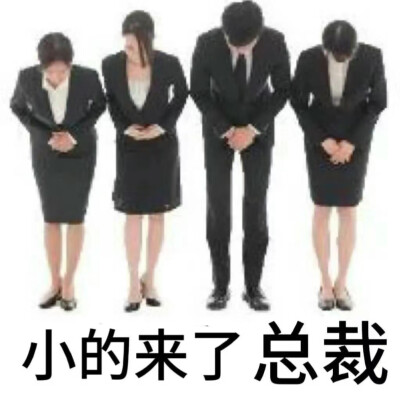 画画表情包（甲方版）