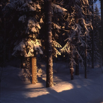 雪景