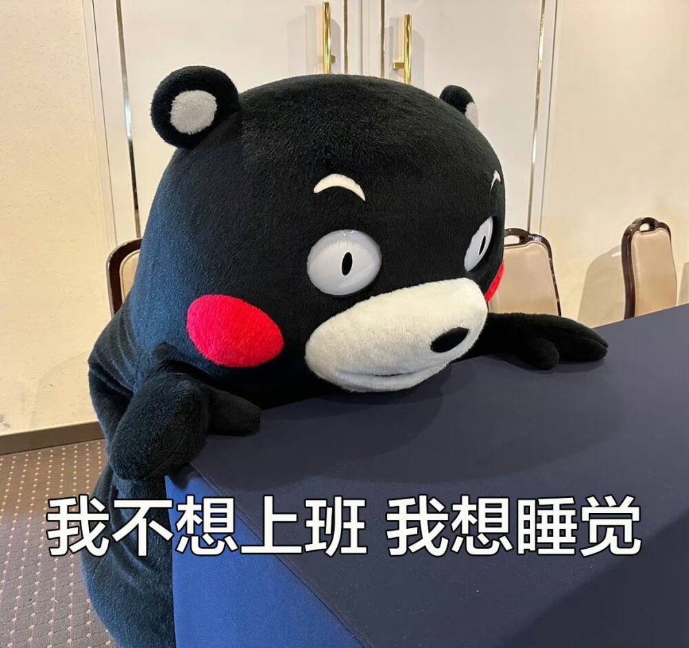 熊本熊