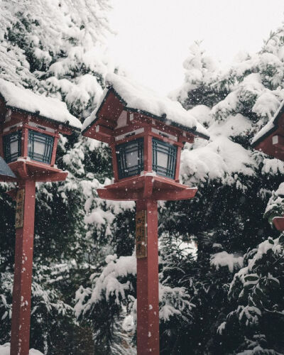 雪景