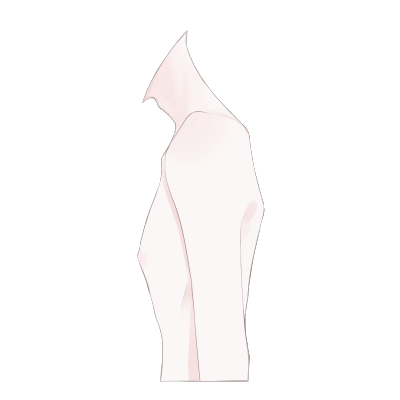 私