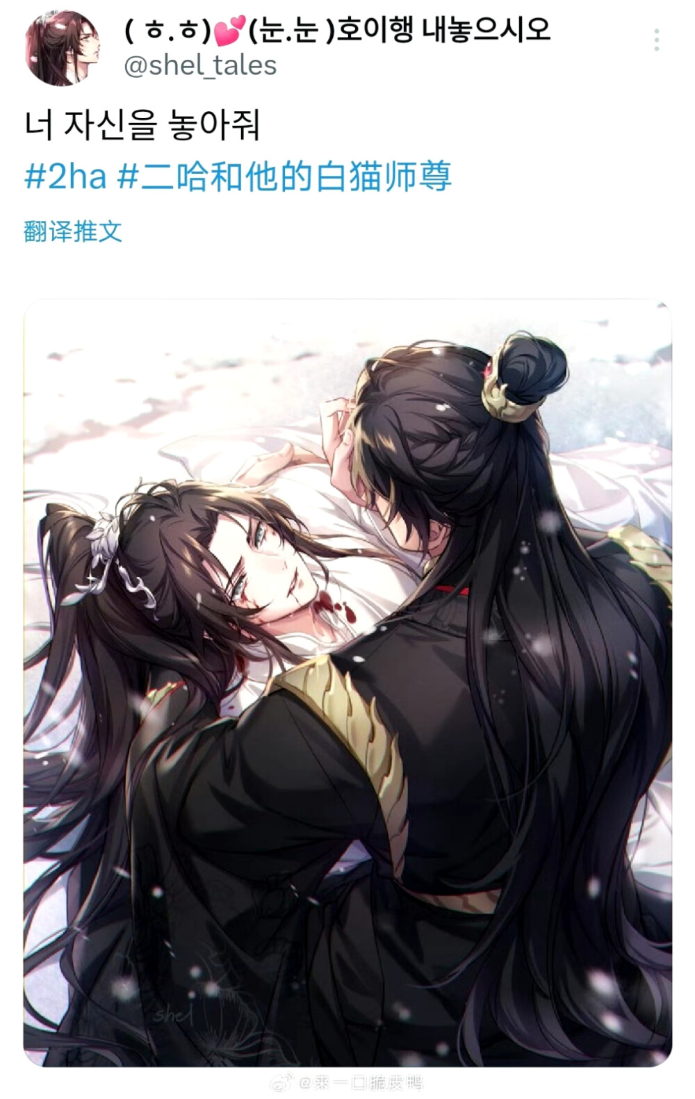 二哈和他的白猫师尊