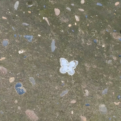 半晚のほろ酔いand風花雪月’時