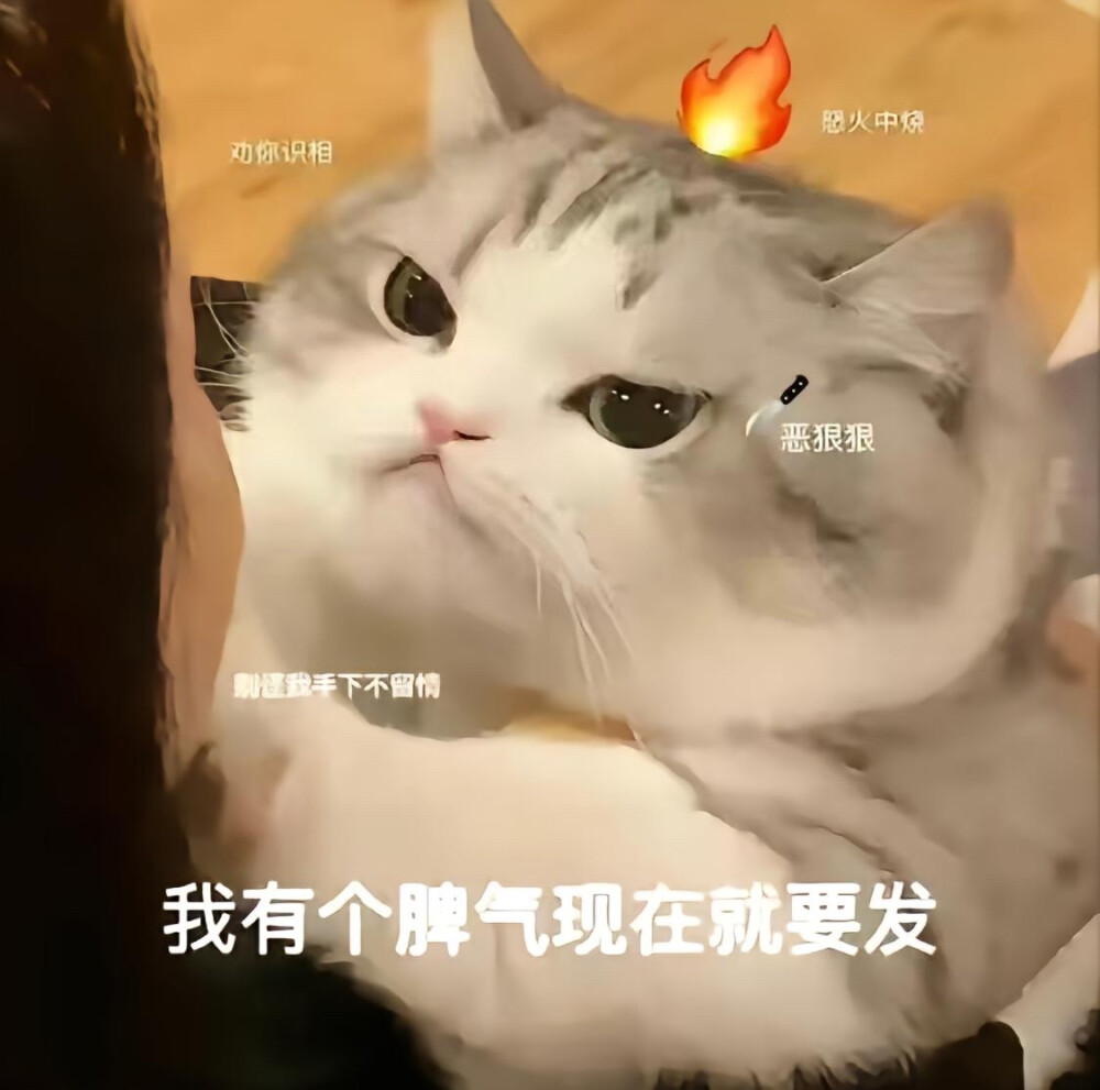 发疯表情包