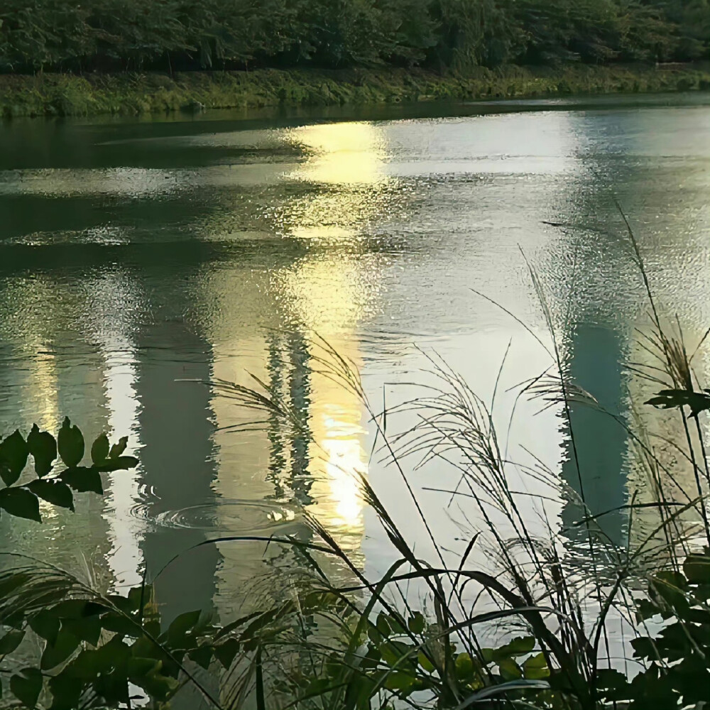 微信背景图
所有的失望都是源于我凭空的期待
#朋友圈背景图##无水印头像##微信状态背景图# 