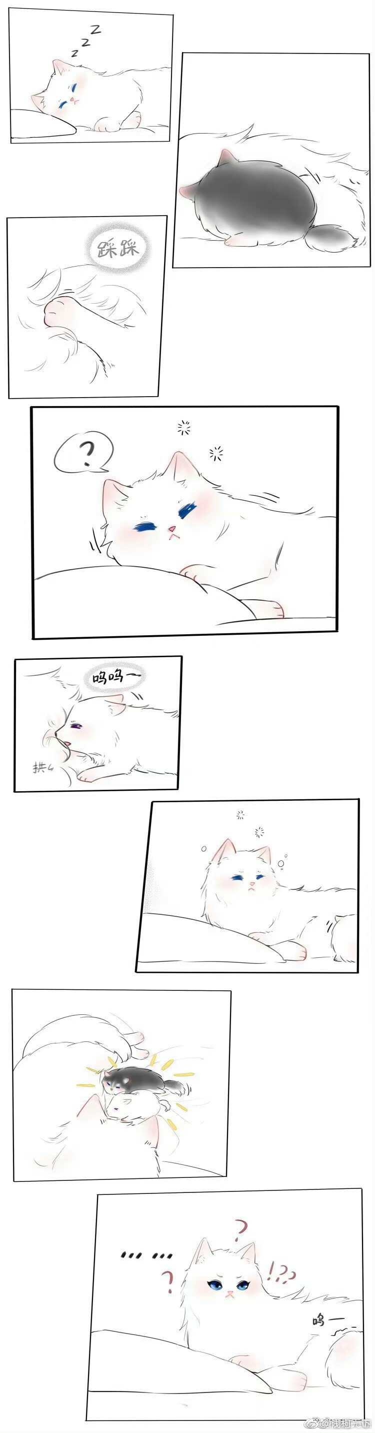 晚宁猫
by：桃下惠