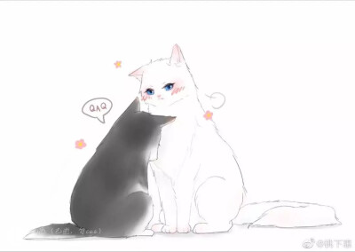 晚宁猫
by：桃下惠