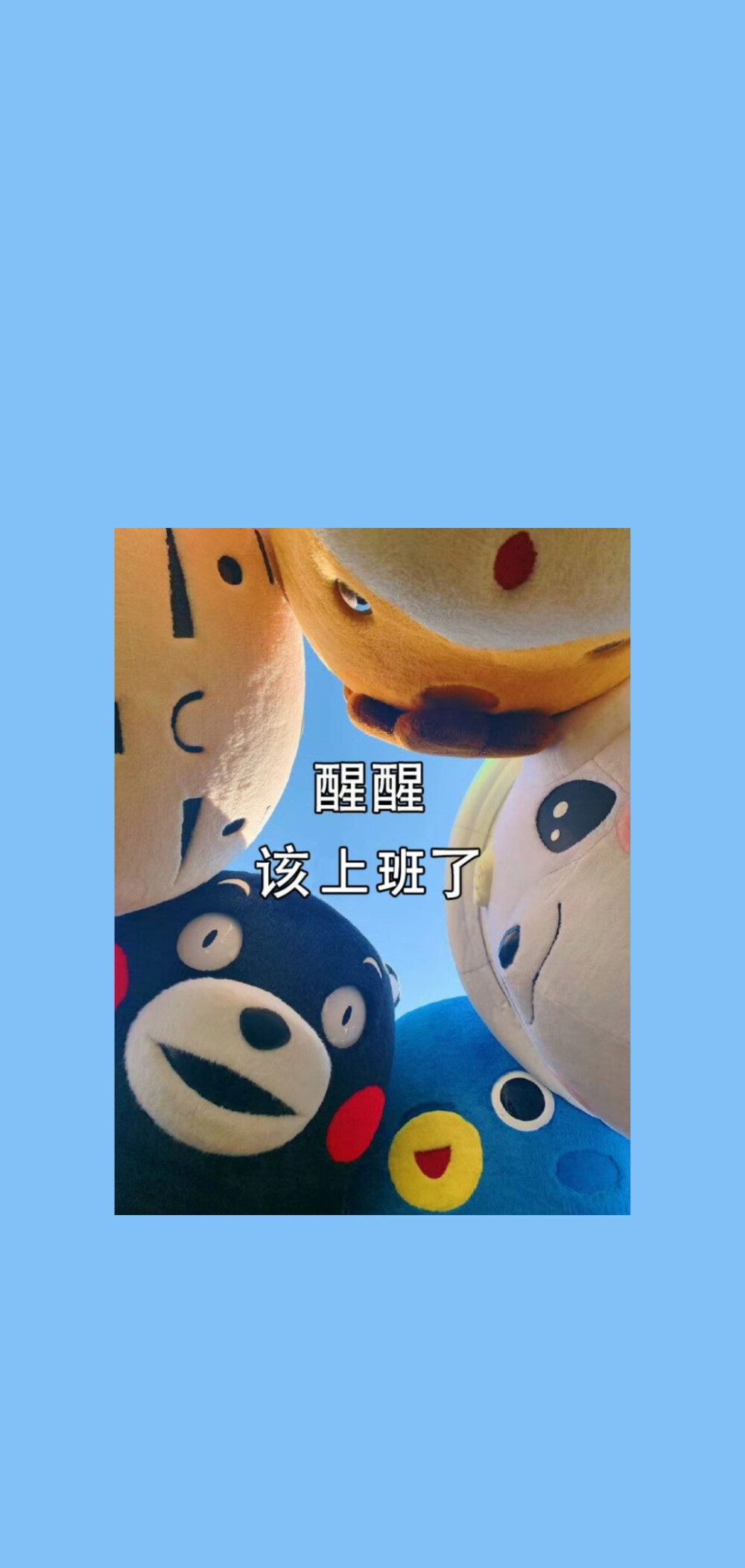 熊本熊