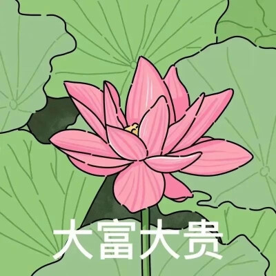 情头
荷花/老年/养生