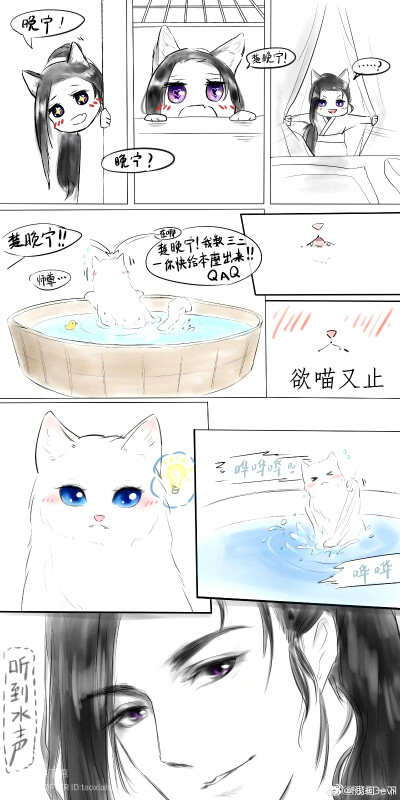 晚宁猫
by：桃下惠