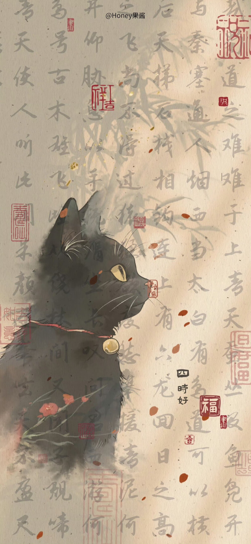 猫猫