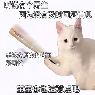 可爱表情包