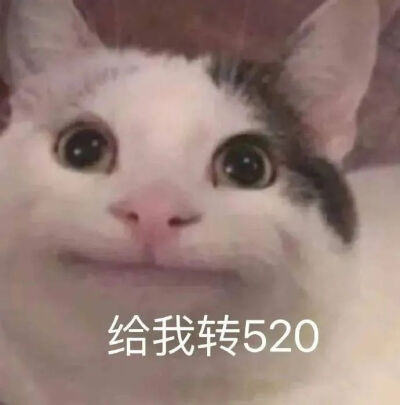 可爱