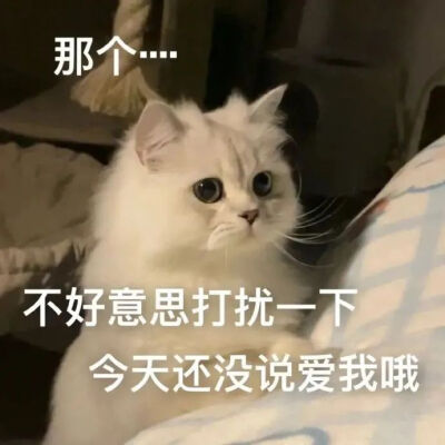 表情包