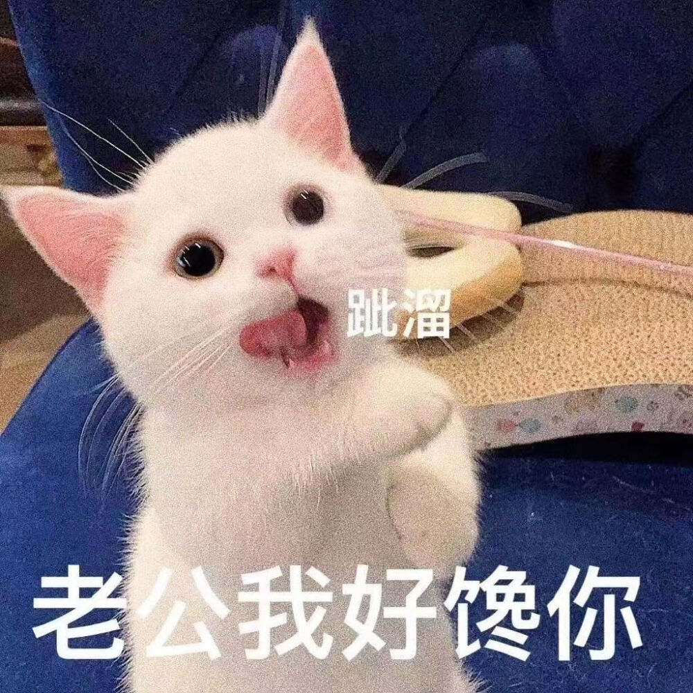 可爱表情包