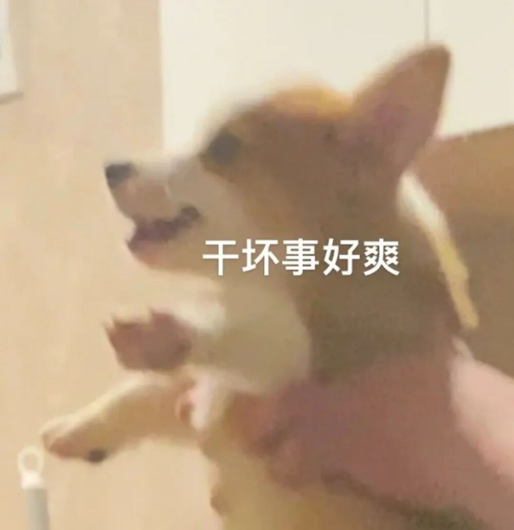 可爱