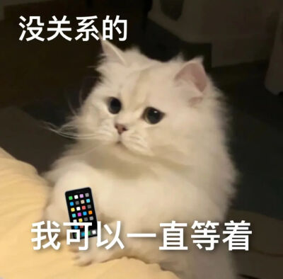 可爱