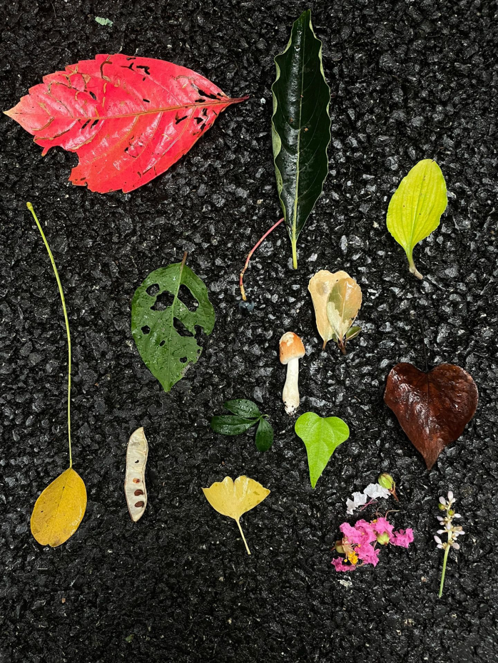 花