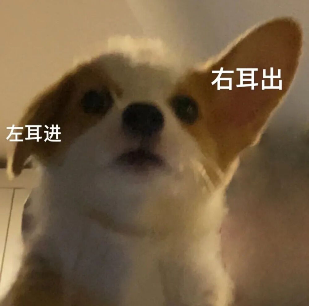 可爱