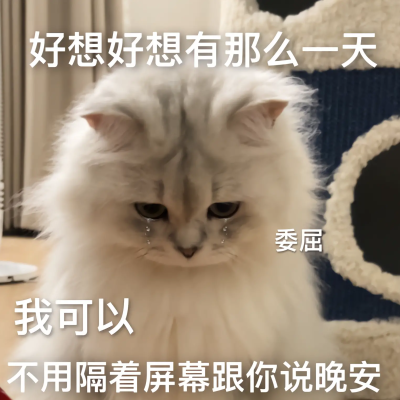 可爱