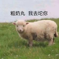 表情包