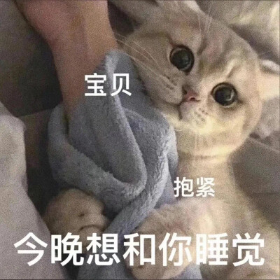 奇怪的表情包