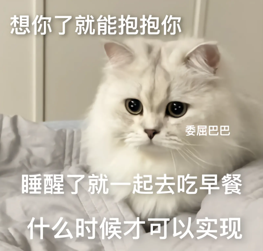 可爱