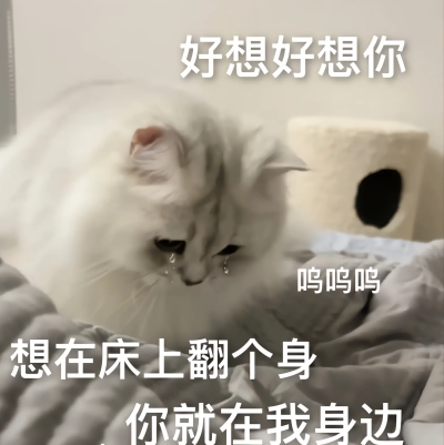 可爱