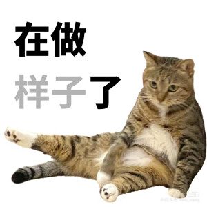 是日随意点⁽⁽ଘ( ˊᵕˋ )ଓ⁾⁾