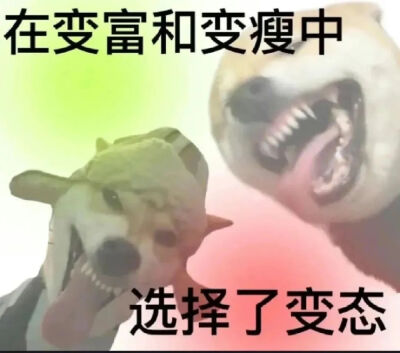 超炫发疯表情包哈哈哈