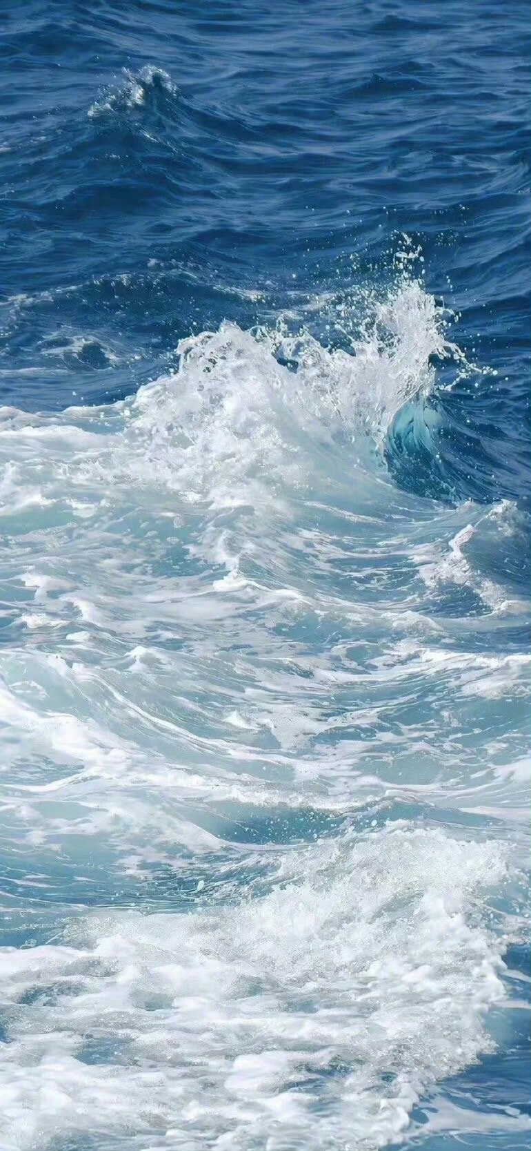 海