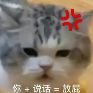 猫咪表情