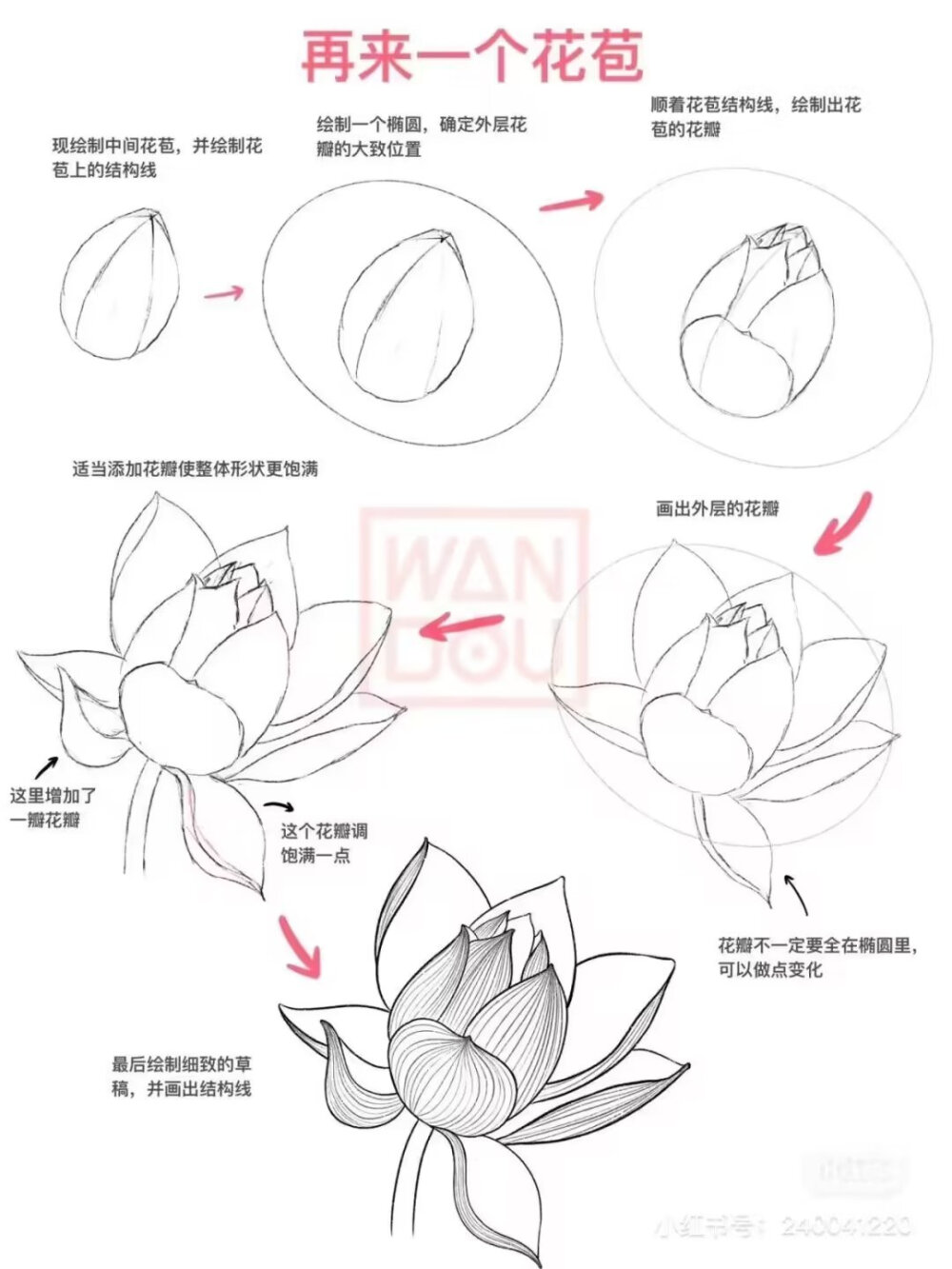 荷叶绘画教程