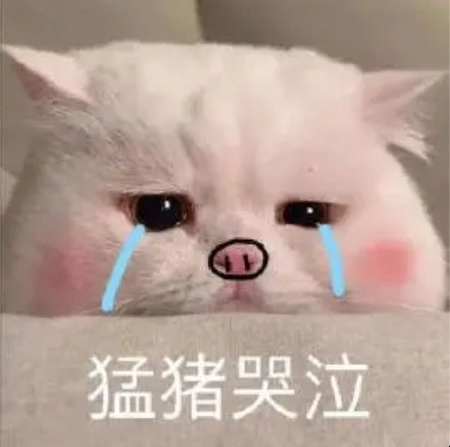 猫咪表情