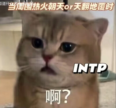 intp