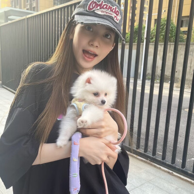 dt林宇婧