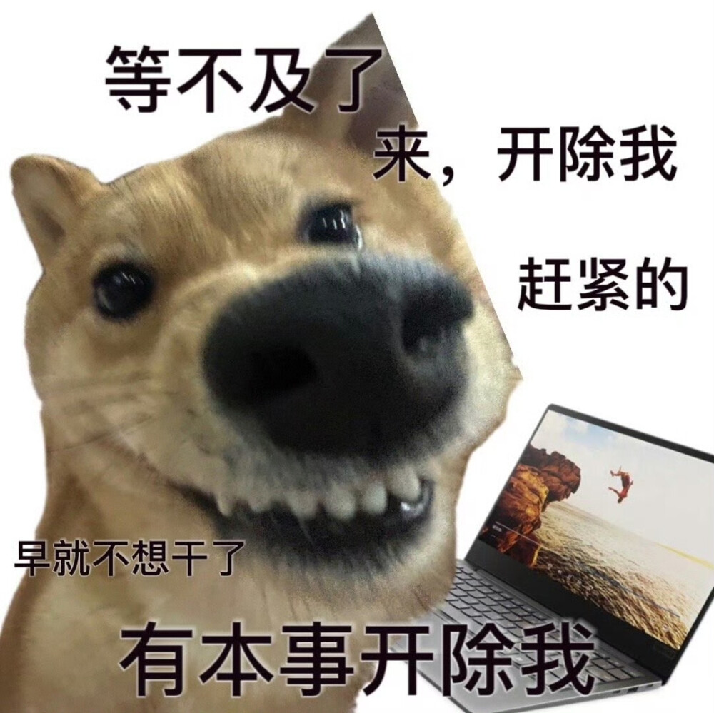 狗