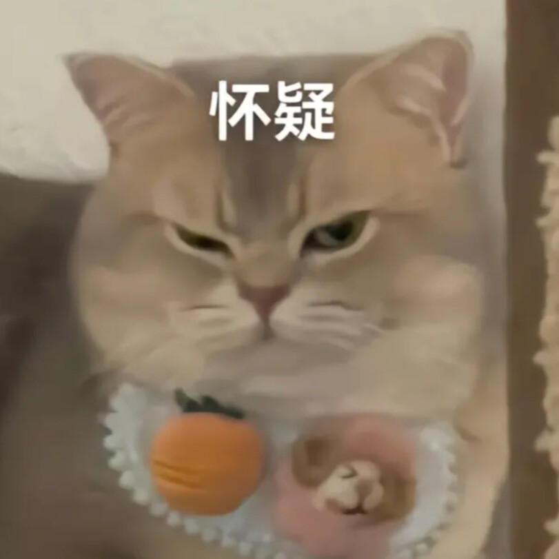 猫咪表情